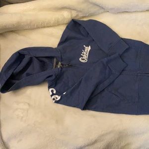 Sunwashed osh kosh sweatshirt (size 2T)